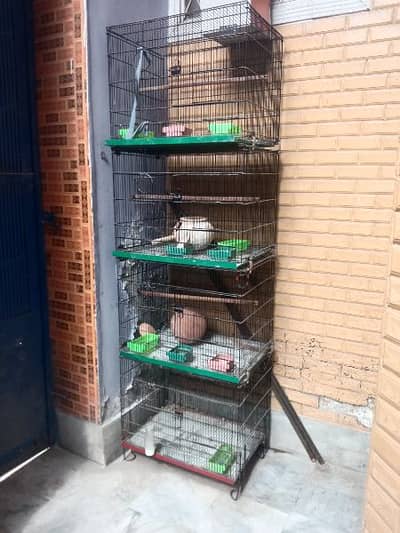 cage for sale 4 portion cage