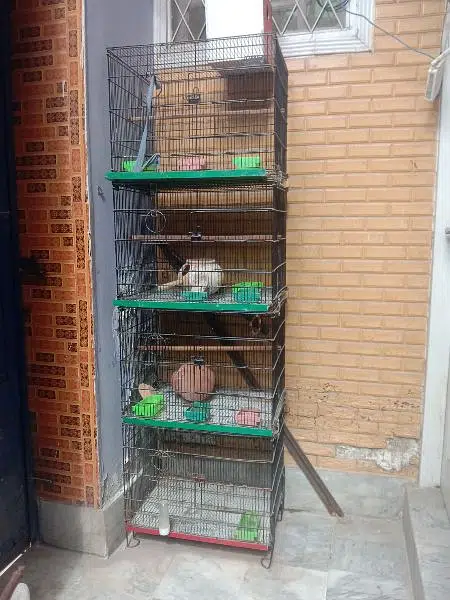 cage for sale 4 portion cage — photo 2