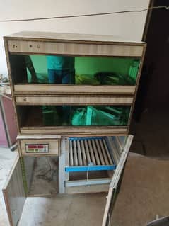 Incubators & Accessories Available for Sale