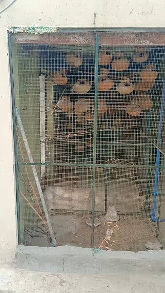 birds cage for sale 7by19 3
