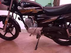 YAMAHA 125 YBZ DX 2021/22