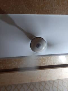 ceiling fans available
