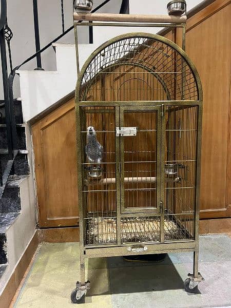 CAGE FACTORY large size breeding cage and Canary cages available 3