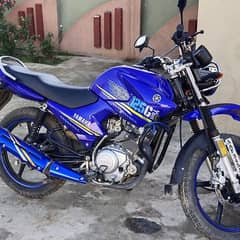 yamaha ybr g 125 purplish blue