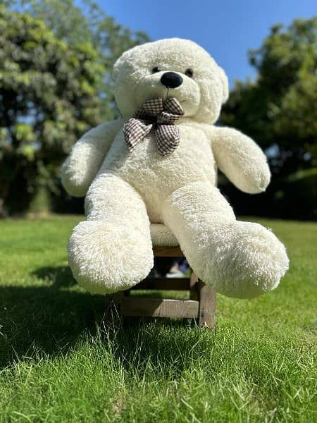Teddy bears available Gaint size teddy bears 2