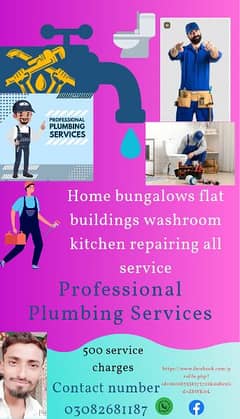 plumbering professional