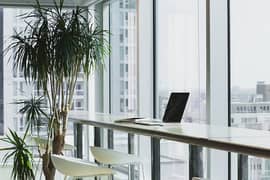 3 Female managers and 1 female Receptionist Required for office