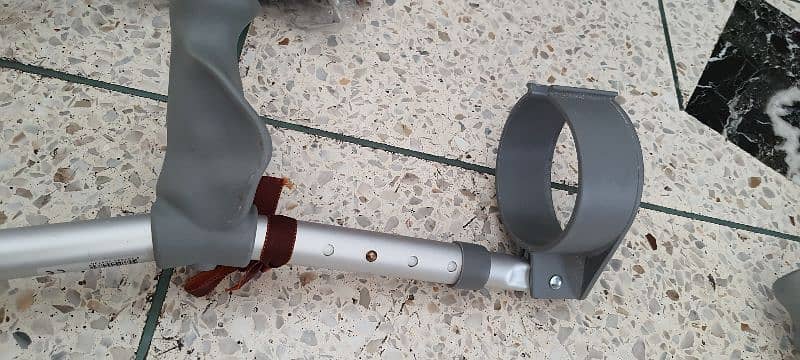 walking stick 4