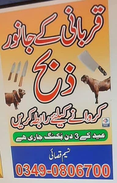 Qurbani ky liye Qasai  Buttcher avl 0