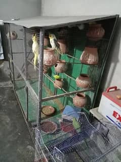 only cage for sale