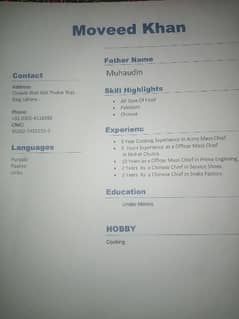 Chinese chef need job