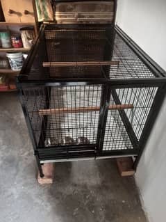 irani cage