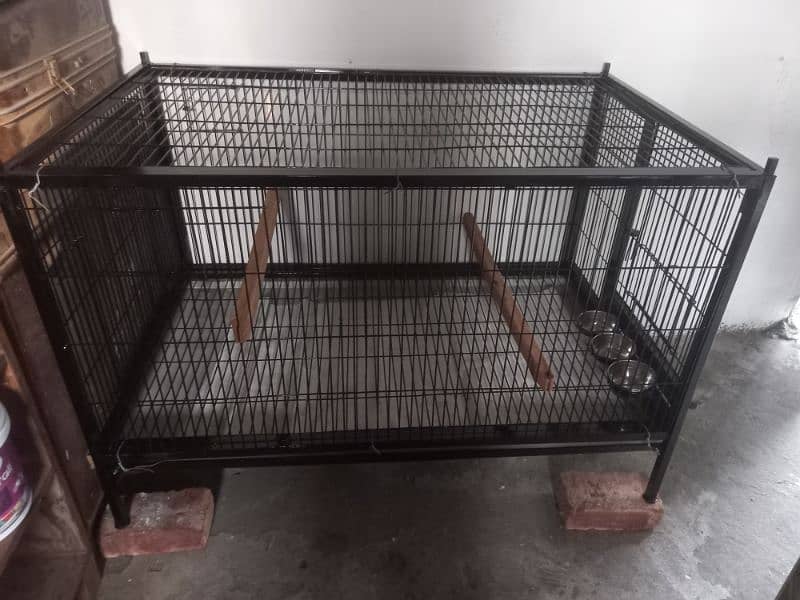 irani cage 1