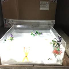 Acrylic Aquarium Box with Roof Cap
