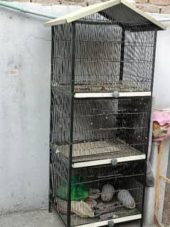 Iron Spot Welding Cage All Birds