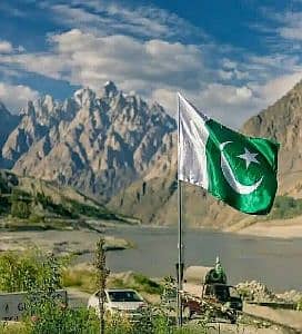 Pakistan Saler