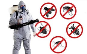 Fumigation and Pest Control Service