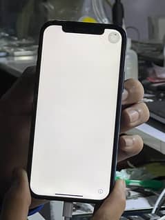 iPhone 12 12pro panel display original tough miss doted panel