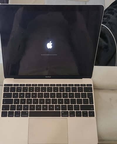 MacBook executive