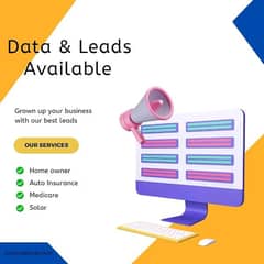 Leads VoiP