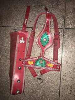 Qurbani Cattle Cow Fancy Mouth and Neck Halter