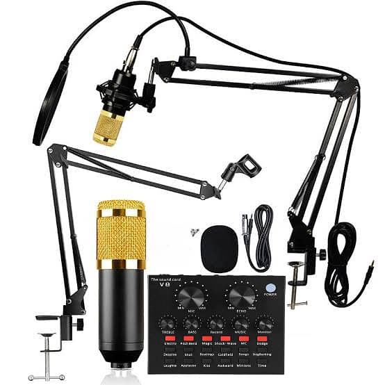 Microphone BM800 for vlogging, voice over Naat recording, Gaming Mic 0