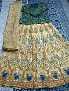 Beautiful Mehndi Dress