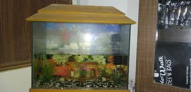Fish aquarium