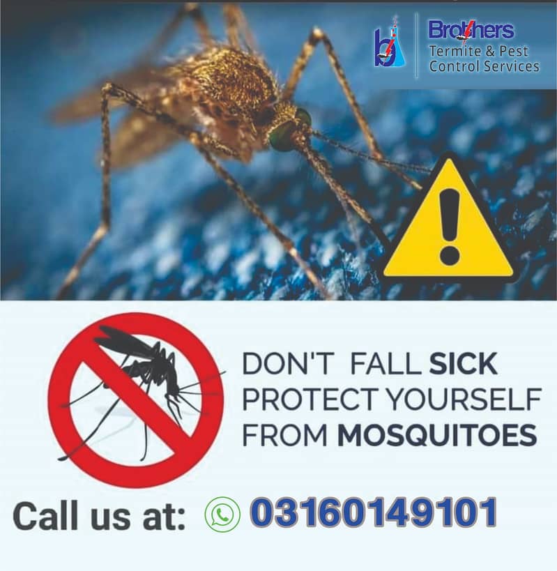 dengue spray/termite/pest control/Deemak control service /cockroach 1