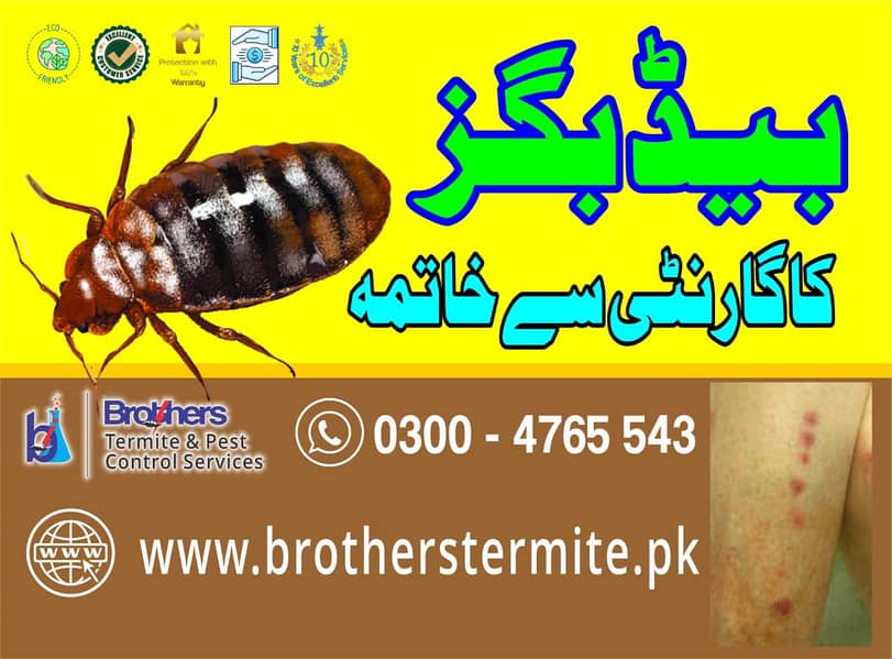 dengue spray/termite/pest control/Deemak control service /cockroach 3