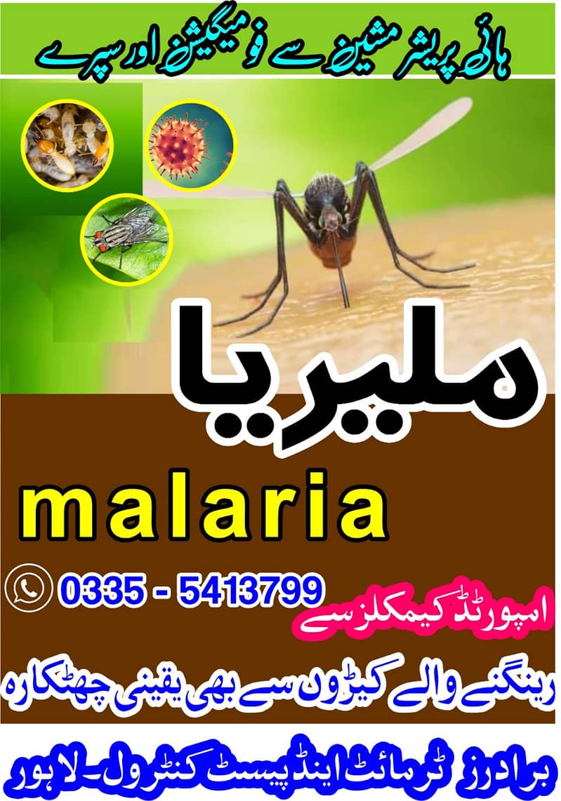 dengue spray/termite/pest control/Deemak control service /cockroach 5