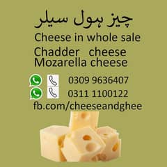 cheese