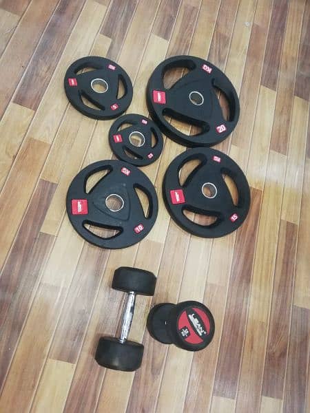 OLYMPIC RUBBER PLATES RUBBER DUMBBELL 5