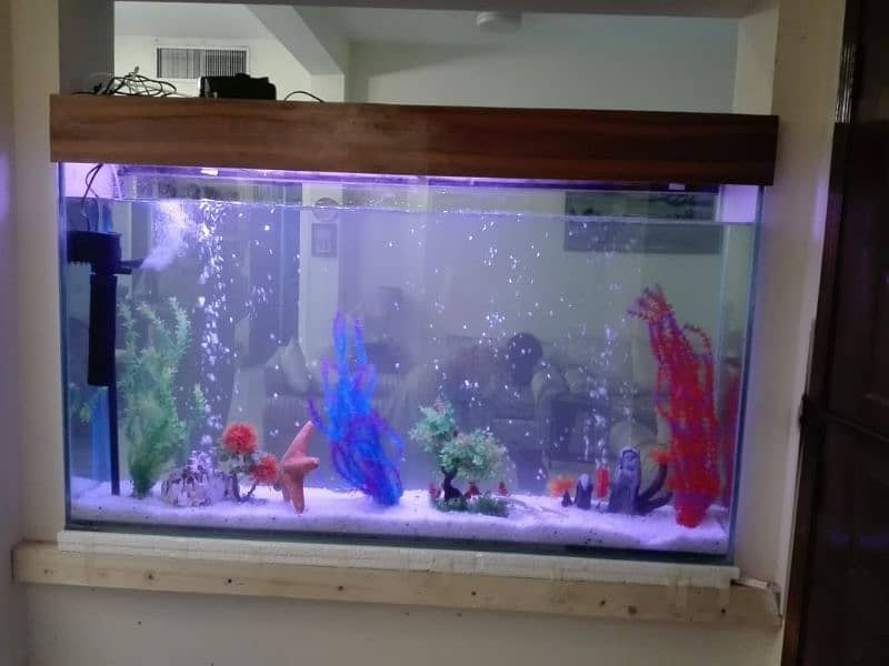 fish aquarium all service provide 2