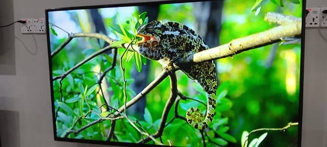 46" inche Smart Led Tv Android Red box play live 3000 channel free