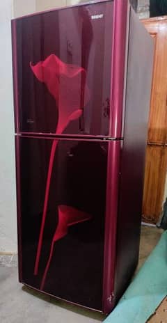 orient invogue refrigerator