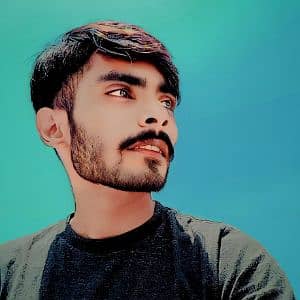 Syed mujtaba Ali
