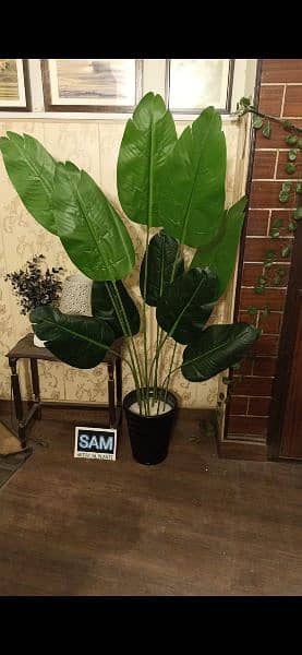 Artificial plants, indoor Washable plants, see pictures, A+ quality 4