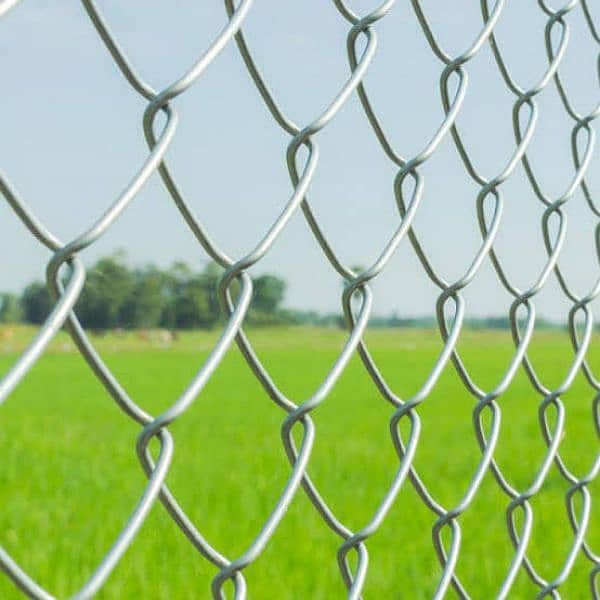 Razor wire Barbed wire Chain link fence concertina security mesh jali 1