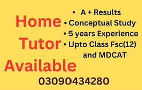 Experience home tutor with A+results available