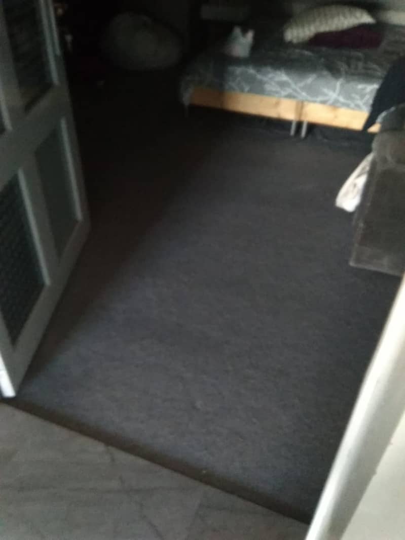 Carpet for sale 2