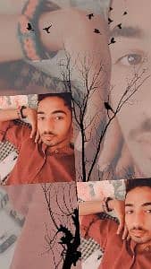 Yasir Majeed