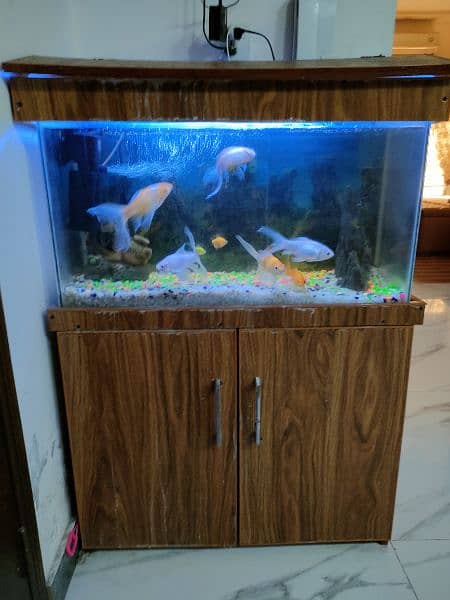 pvc material fish aquarium with fishes, oxygen pump and fish toys 2