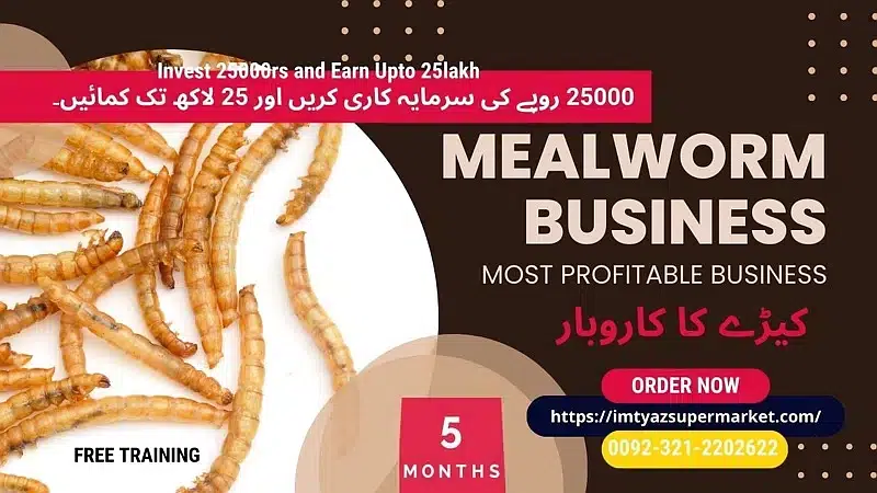 Darkling Beetle Mealworm Larvae | Rs 2 Each | 03212202622 — photo 4