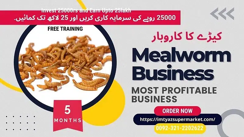 Darkling Beetle Mealworm Larvae | Rs 2 Each | 03212202622 — photo 5