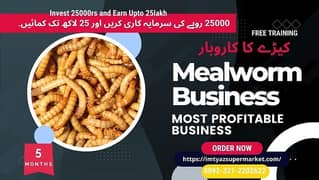 Darkling Beetle Larvae | Mealworms Rs 2 Each | 03212202622