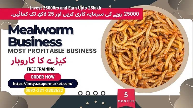 Darkling Beetle Larvae | Mealworms Rs 2 Each | 03212202622 5