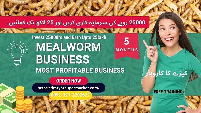 Darkling Beetle Larvae | Mealworms Rs 2 Each | 03212202622 7