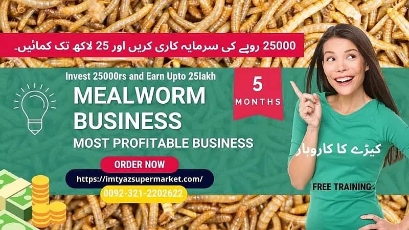 Darkling Beetle Mealworm Larvae | Rs 2 Each | 03212202622 6