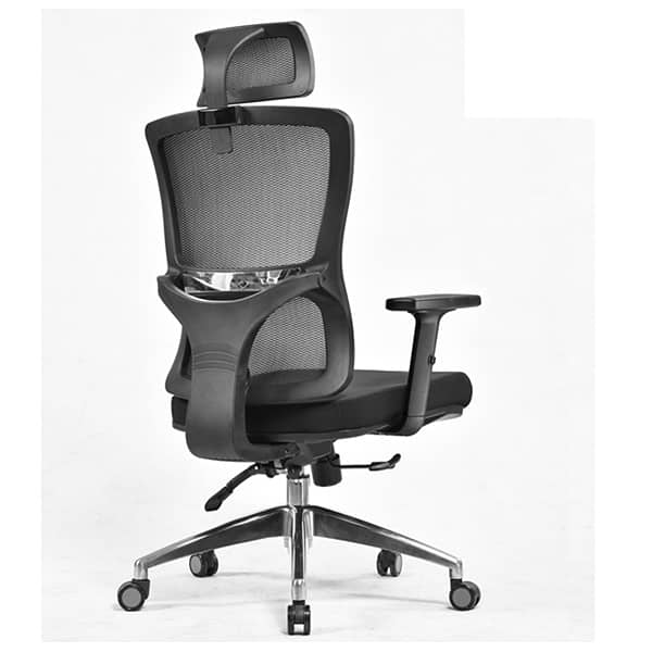 Executive  Office Chair Mesh Back with Headrest 4